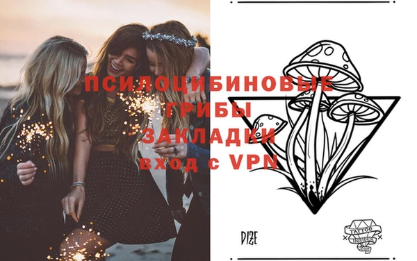 тгк Алексеевка