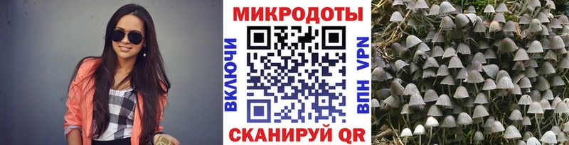 ссылка на мегу онион  Находка  Псилоцибиновые грибы GOLDEN TEACHER 